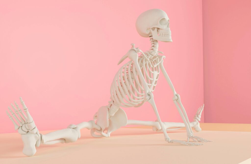 A skeleton model stretching in a pink studio setting, emphasizing anatomy and flexibility.